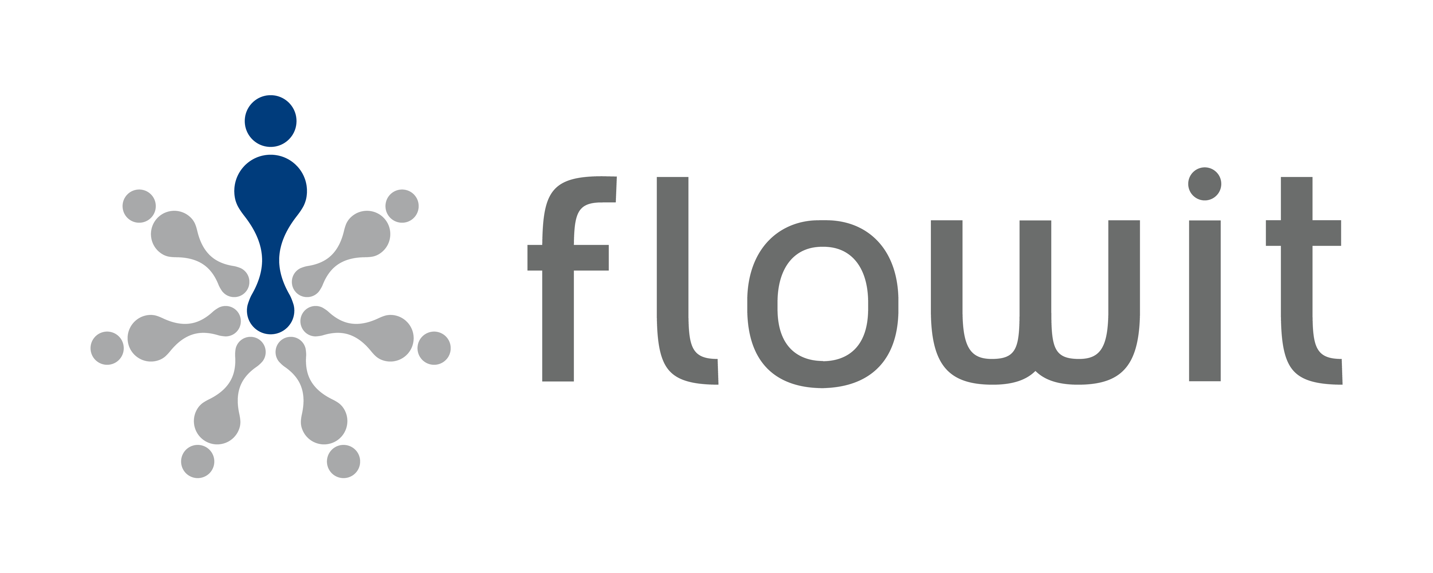flowit2025 Logo H RGB
